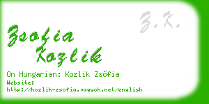 zsofia kozlik business card